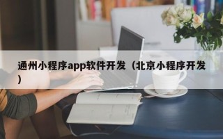 通州小程序app软件开发（北京小程序开发）