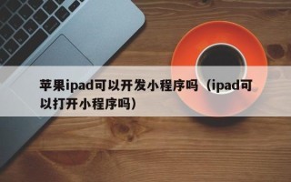 苹果ipad可以开发小程序吗（ipad可以打开小程序吗）