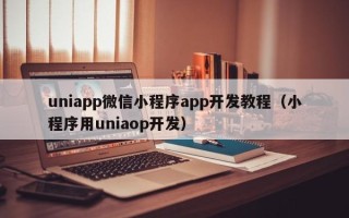 uniapp微信小程序app开发教程（小程序用uniaop开发）