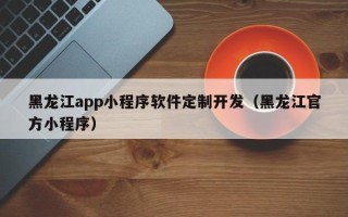 黑龙江app小程序软件定制开发（黑龙江官方小程序）