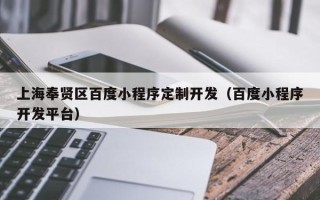 上海奉贤区百度小程序定制开发（百度小程序开发平台）