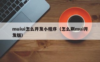 muiui怎么开发小程序（怎么刷mui开发版）