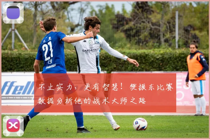 不止实力,更有智慧!樊振东比赛数据分析他的战术大师之路