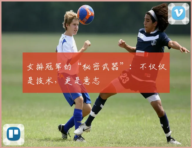 女排冠军的“秘密武器”：不仅仅是技术，更是意志
