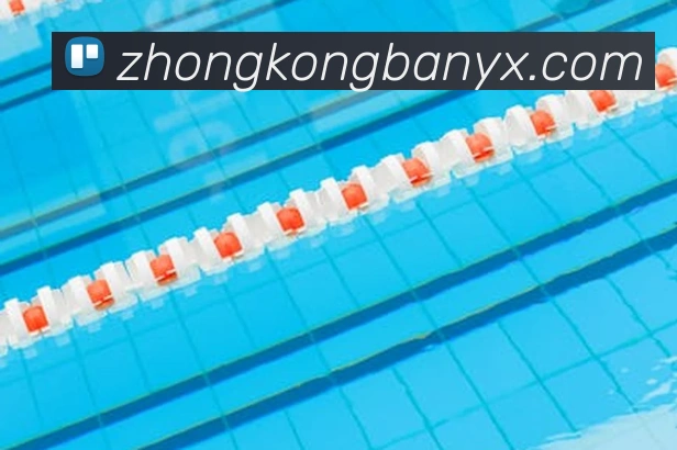 爱游戏体育APP 封面图